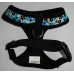 Dogue Pettorina Skull Harness Blue